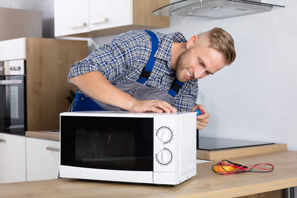 تعمیر مایکروفر و سولاردام